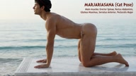 Marjariasana. Cat Pose. Yogi. Greek athlete, sweaty muscle yoga on wet marble 40s